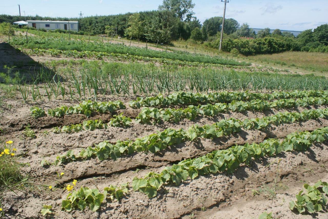 Agrodomki Okej -Dom Kasjan Gardna Wielka エクステリア 写真