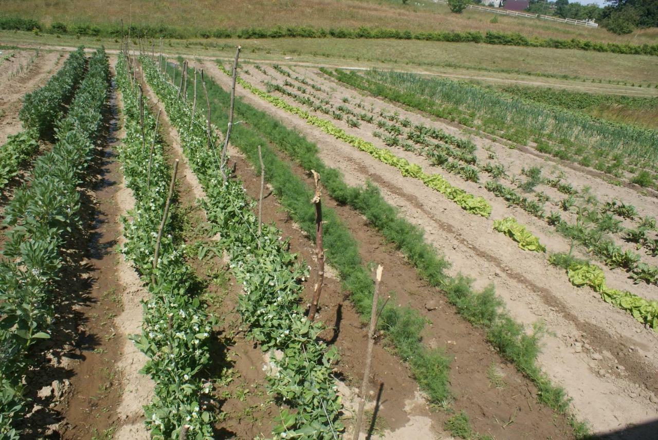 Agrodomki Okej -Dom Kasjan Gardna Wielka エクステリア 写真